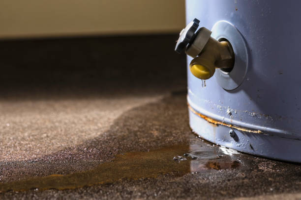 Best Flooded house restoration  in Dermott, AR
