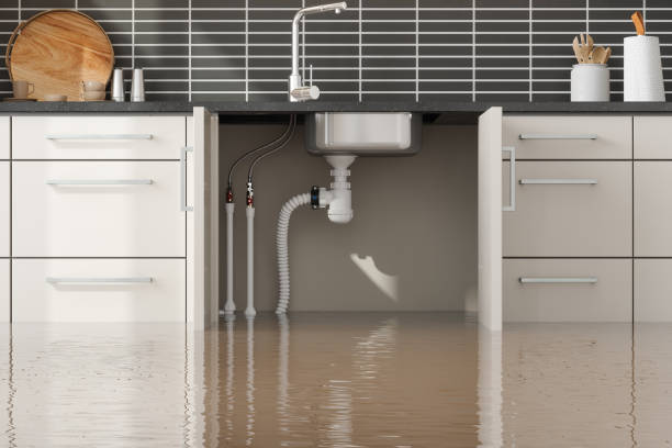 Best Water damage mitigation services  in Dermott, AR